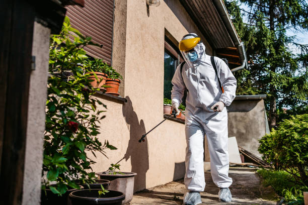 Best Termite Control Services  in Tullytown, PA