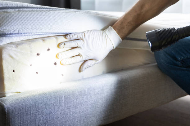 Best Residential Pest Control  in Tullytown, PA