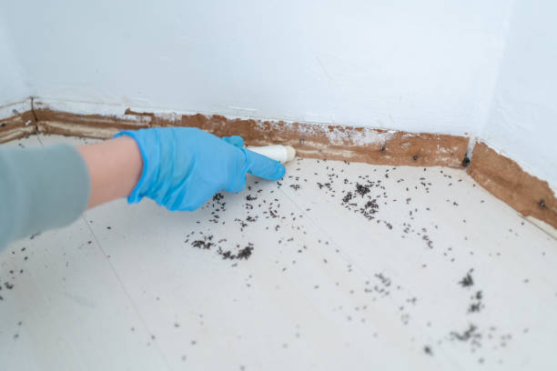 Insect Control in Tullytown, PA