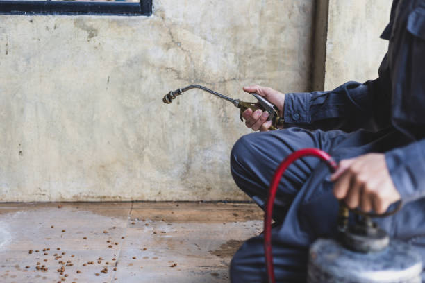 Best Wasp Removal Services  in Tullytown, PA